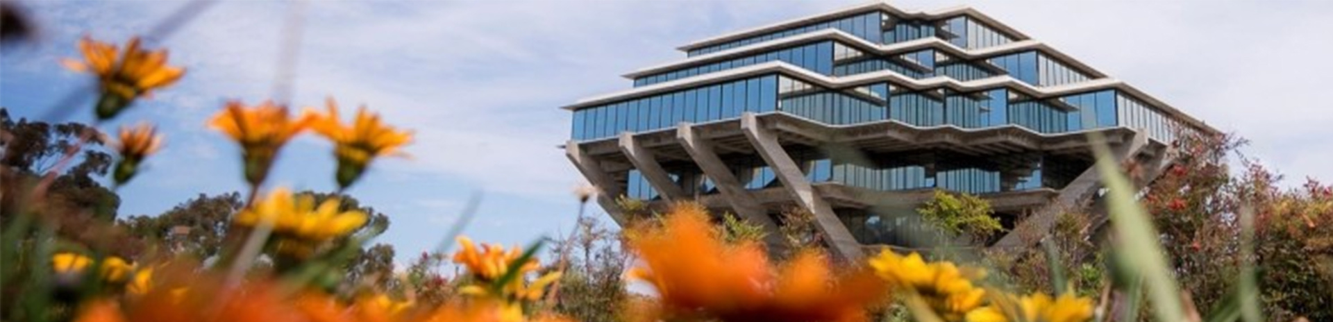 關于全美(měi)國(guó)際