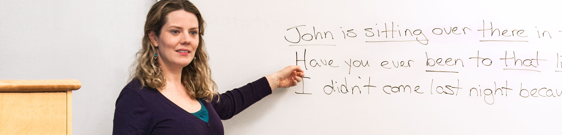 語言文(wén)化(huà)項目